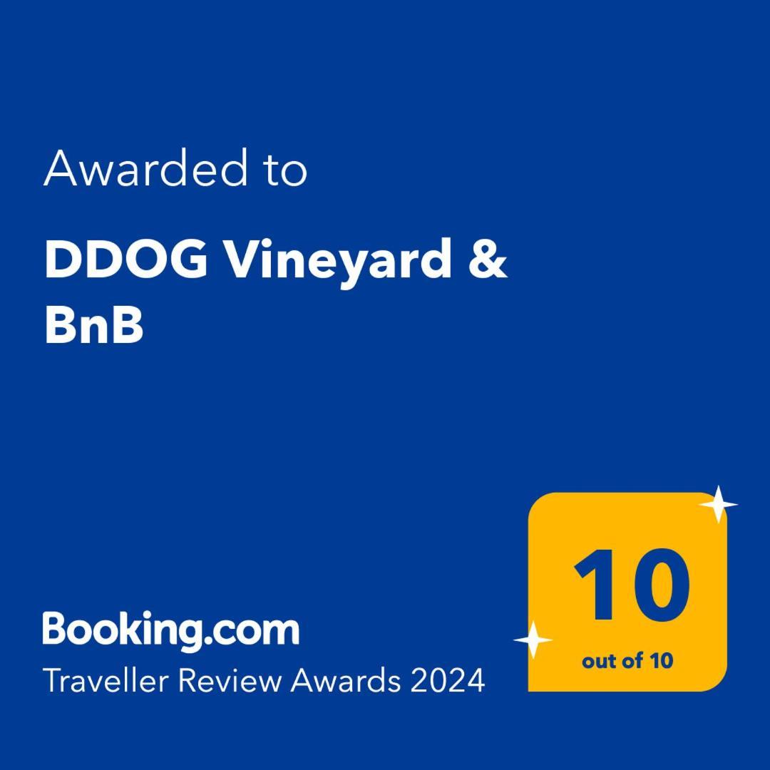 Ddog Vineyard & Bnb Renwick Exteriér fotografie
