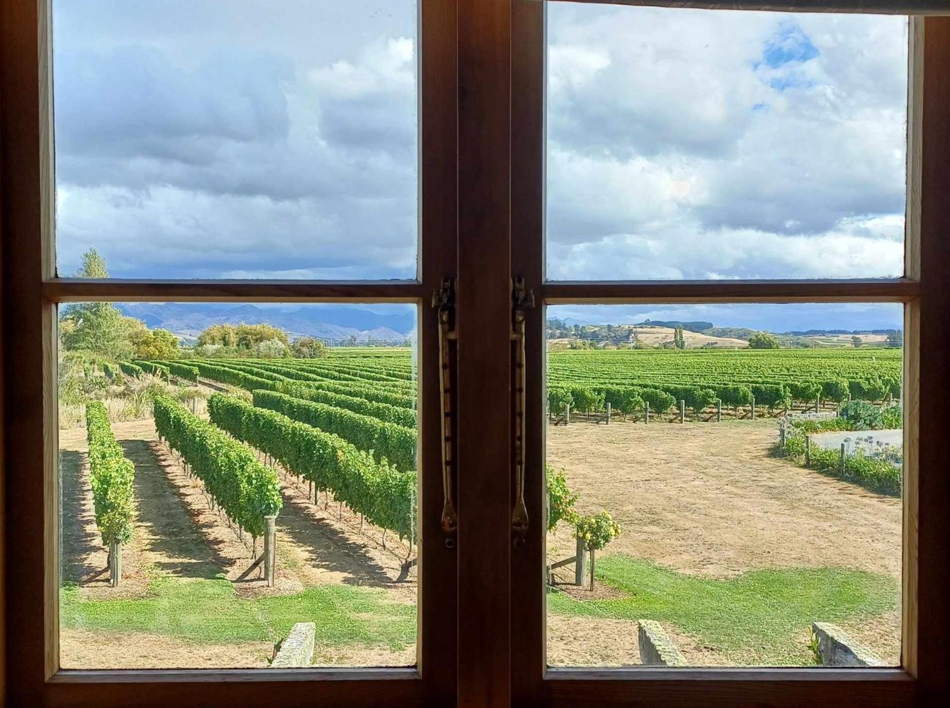 Ddog Vineyard & Bnb Renwick Exteriér fotografie